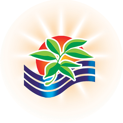 everest ayurveda products